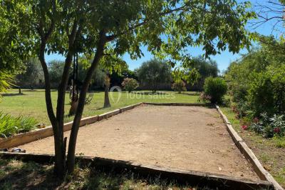 Terrain de pétanque ensoleillé entouré d'arbres et de végétation dans un jardin.