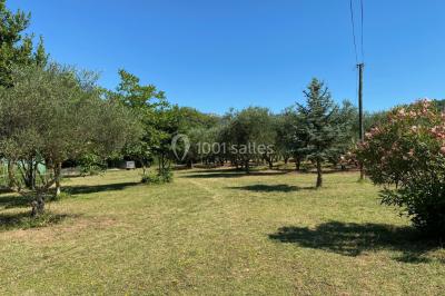 Terrain de pétanque ensoleillé entouré d'arbres et de végétation dans un jardin.