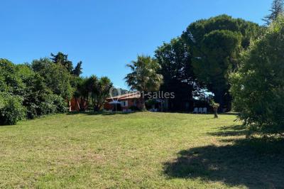 Terrain de pétanque ensoleillé entouré d'arbres et de végétation dans un jardin.