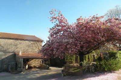 Arbre en fleurs roses devant un bâtiment en pierre avec une porte en bois, sous un ciel bleu clair.