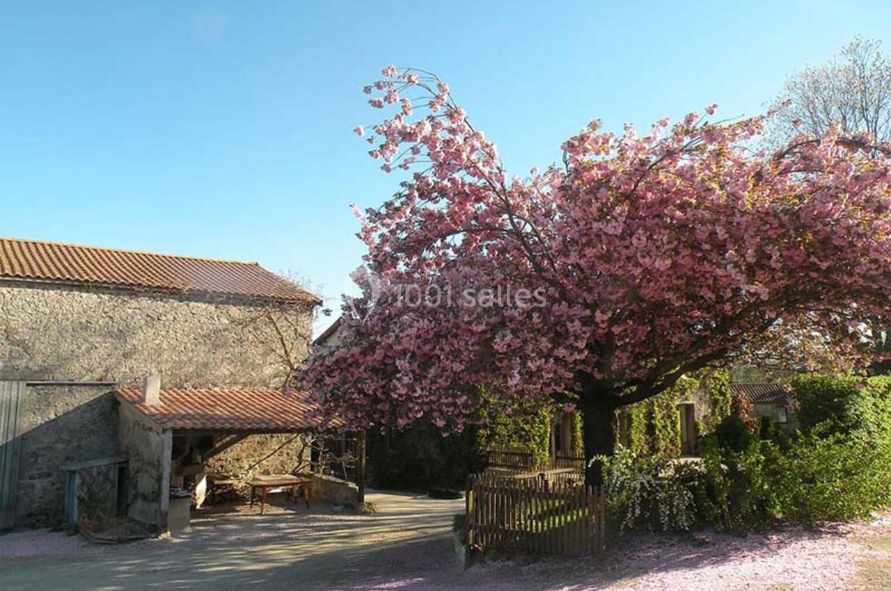 Cour rurale avec un grand cerisier en fleurs roses, entourée de bâtiments en pierre sous un ciel bleu clair.