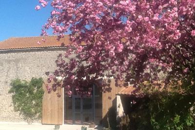 Arbre en fleurs roses devant un bâtiment en pierre avec une porte en bois, sous un ciel bleu clair.