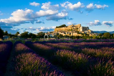 Les Maisons du Clair de la Plume Les Maisons du Clair de la Plume