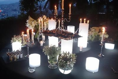 Allée décorée pour une cérémonie en plein air, entourée d'arbres, avec chaises en bois et rubans suspendus.