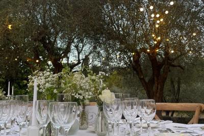 Allée décorée pour une cérémonie en plein air, entourée d'arbres, avec chaises en bois et rubans suspendus.