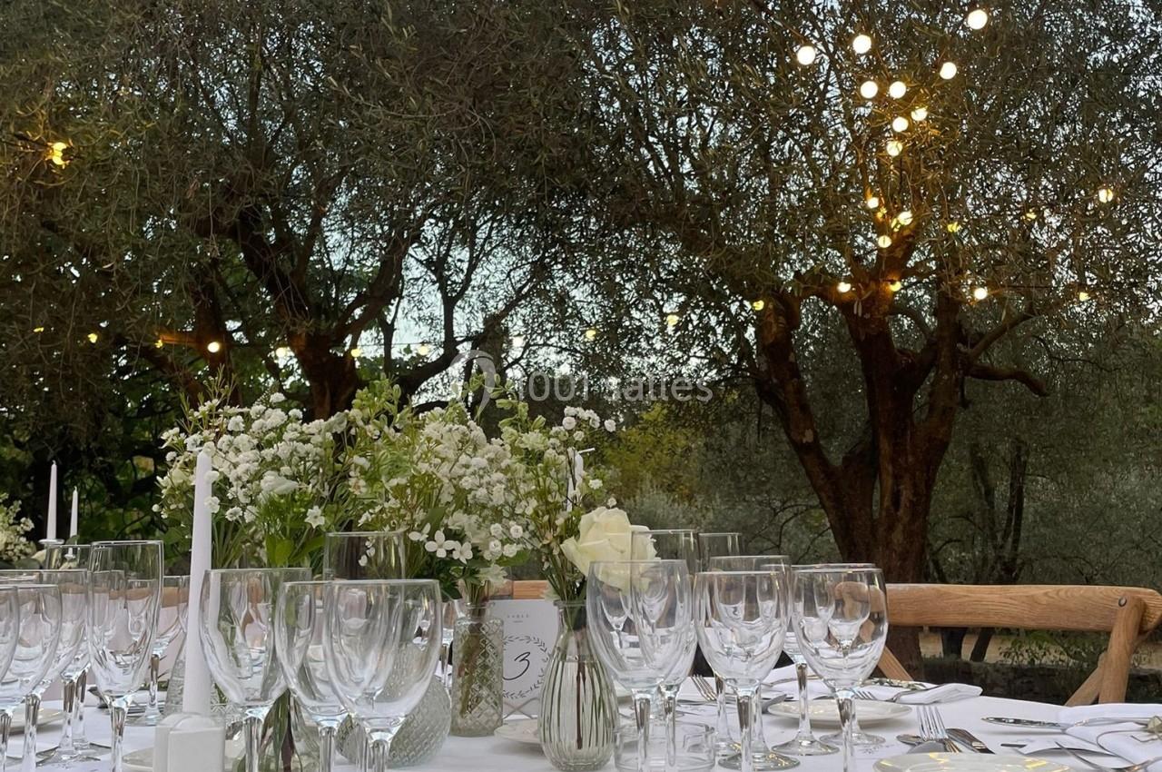 Table dressée en extérieur sous des guirlandes lumineuses, entourée d'oliviers, avec vaisselle et décoration florale.
