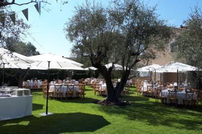 Allée décorée pour une cérémonie en plein air, entourée d'arbres, avec chaises en bois et rubans suspendus.
