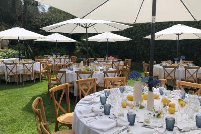 Allée décorée pour une cérémonie en plein air, entourée d'arbres, avec chaises en bois et rubans suspendus.