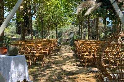 Allée décorée pour une cérémonie en plein air, entourée d'arbres, avec chaises en bois et rubans suspendus.