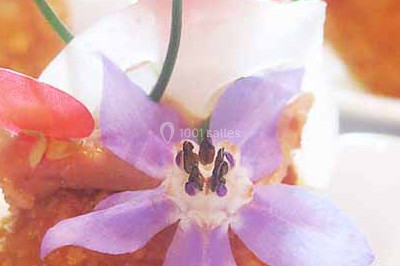 Traiteur Hilsenheim (Bas-Rhin) - Charme et Saveurs #2