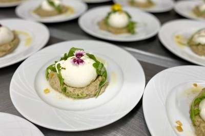 Plat gastronomique composé d'une mousse verte, surmontée de saumon et de pousses, présenté dans une assiette blanche.