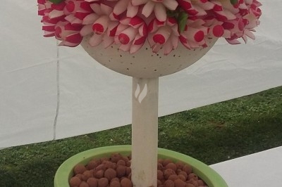 Assiette composée de foie gras, gelée, pain brioché, tranches d'orange, groseilles, jeunes pousses et graines noires.