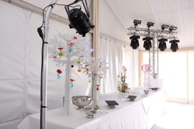 Assiette gastronomique composée de viande en sauce, légumes variés, samoussa et décoration raffinée.