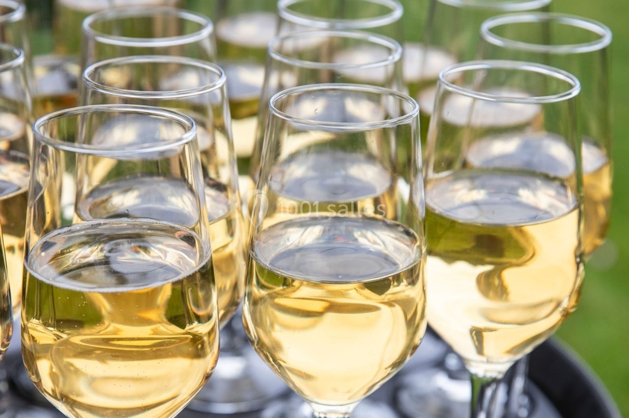 Verres de vin blanc alignés sur un plateau, prêts à être servis lors d'un événement en extérieur.