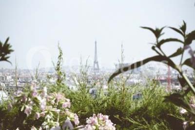 Salle de réception éclairée de lumières violettes, avec un bar, des tables hautes et des rideaux rouges.