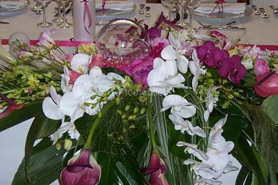 Traiteur Vénissieux (Rhône) - La Verr'in #19