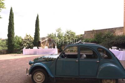 Montgolfière verte posée sur un chemin de terre entouré de végétation sous un ciel nuageux.