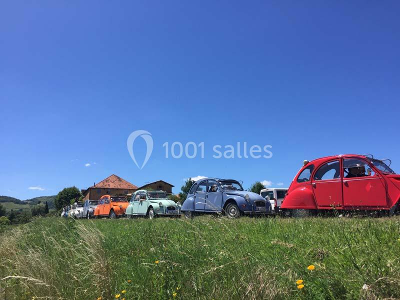 Plusieurs voitures anciennes, principalement des Citroën 2CV, alignées dans un champ sous un ciel bleu.
