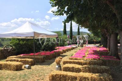 Montgolfière verte posée sur un chemin de terre entouré de végétation sous un ciel nuageux.