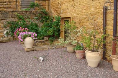 Montgolfière verte posée sur un chemin de terre entouré de végétation sous un ciel nuageux.