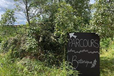 Montgolfière verte posée sur un chemin de terre entouré de végétation sous un ciel nuageux.