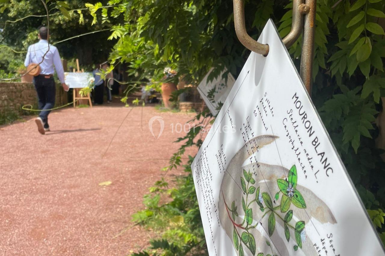 Panneau illustré sur le mouron blanc suspendu dans un jardin, avec un chemin en arrière-plan.