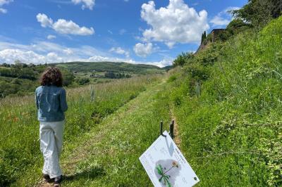 Montgolfière verte posée sur un chemin de terre entouré de végétation sous un ciel nuageux.