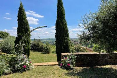 Montgolfière verte posée sur un chemin de terre entouré de végétation sous un ciel nuageux.