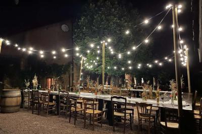 Montgolfière verte posée sur un chemin de terre entouré de végétation sous un ciel nuageux.
