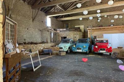 Montgolfière verte posée sur un chemin de terre entouré de végétation sous un ciel nuageux.