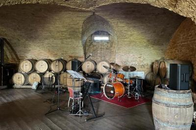 Montgolfière verte posée sur un chemin de terre entouré de végétation sous un ciel nuageux.
