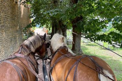 Montgolfière verte posée sur un chemin de terre entouré de végétation sous un ciel nuageux.