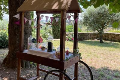 Montgolfière verte posée sur un chemin de terre entouré de végétation sous un ciel nuageux.
