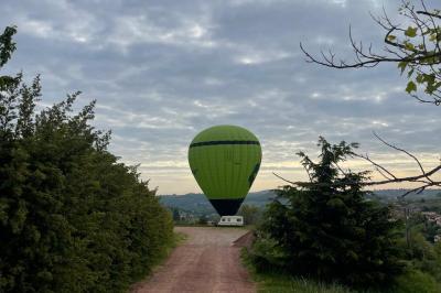 Montgolfière verte posée sur un chemin de terre entouré de végétation sous un ciel nuageux.