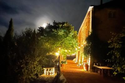 Montgolfière verte posée sur un chemin de terre entouré de végétation sous un ciel nuageux.