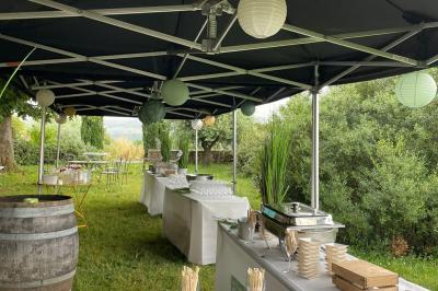 Montgolfière verte posée sur un chemin de terre entouré de végétation sous un ciel nuageux.