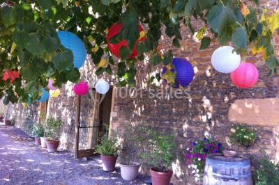 Montgolfière verte posée sur un chemin de terre entouré de végétation sous un ciel nuageux.