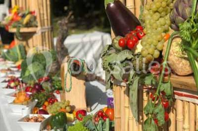 Plateau de bouchées apéritives variées avec charcuterie, légumes, verrines et décorations colorées.
