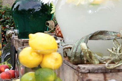 Miniature Traiteur Peyrins (Drôme) - Traiteur L'escoffine #10 Traiteur Peyrins (Drôme) - Traiteur L'escoffine #19