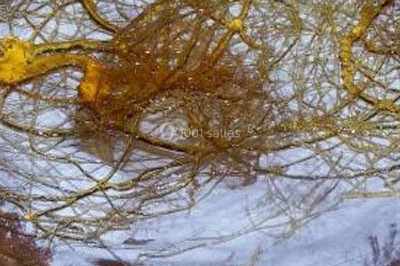 Traiteur Richtolsheim (Bas-Rhin) - Traiteur Sitia #8