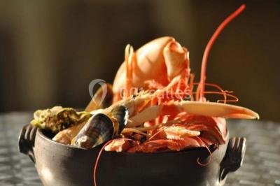 Assiette de poisson en sauce blanche, garnie de persil frais, légumes et décorée de traits de sauce verte.