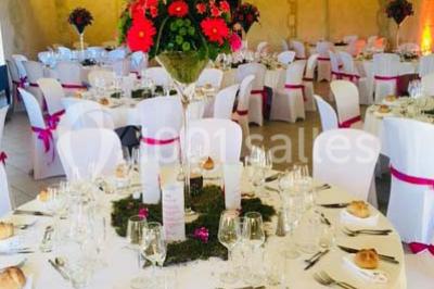 Plateau de bouchées variées comprenant verrines, toasts garnis, mini-sandwichs et décorations florales.