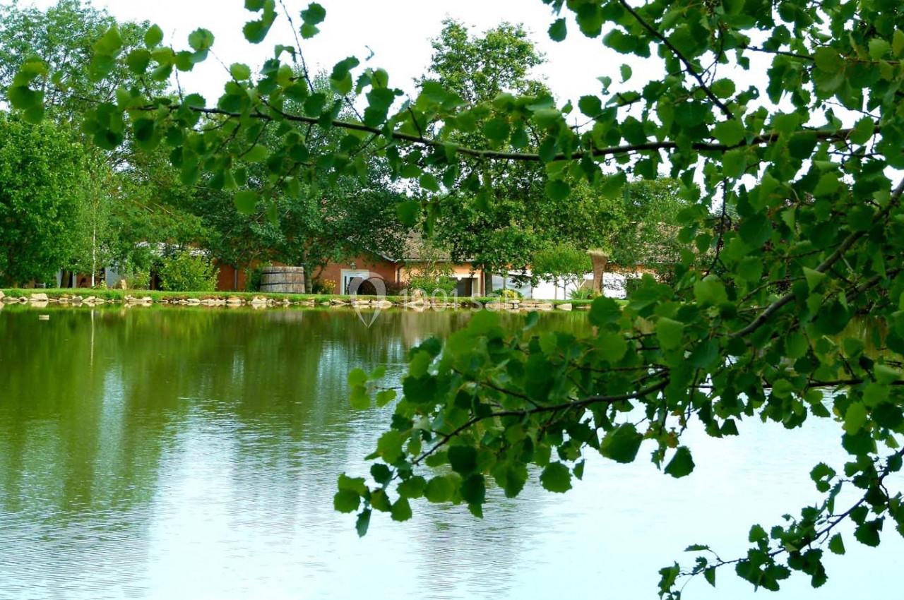 Location salle Saint-Julien (Rhône) - Domaine Saint Julien #24