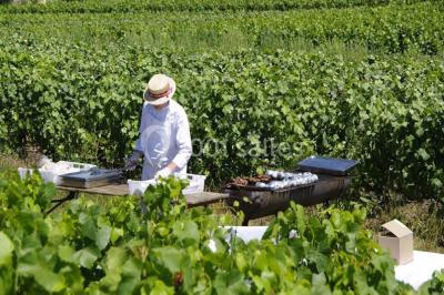 Miniature Traiteur Vrigny (Loiret) - Les Délices d'André #12 Traiteur Vrigny (Loiret) - Les Délices d'André #24