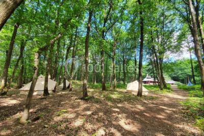 Location salle Chevreuse (Yvelines) - La Roche Couloir #20