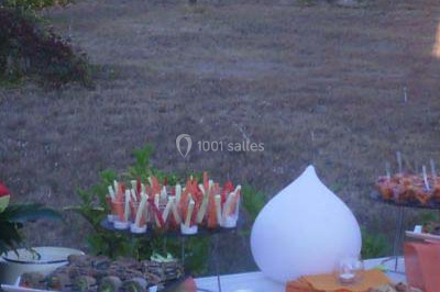 Traiteur Châteauneuf-de-Gadagne (Vaucluse) - Les Crepes Buissonnieres #23