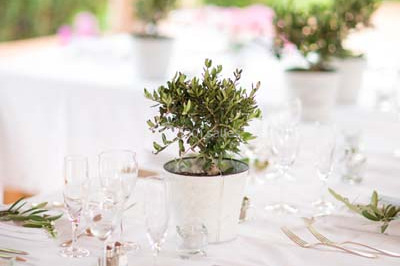 Traiteur Puget-sur-Argens (Var) - Les Filles du Sud Traiteur #16