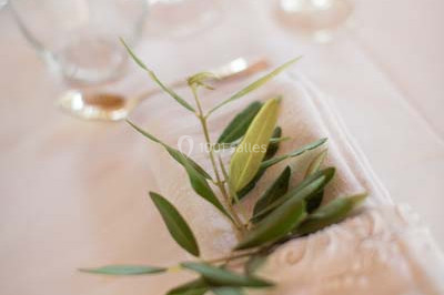 Traiteur Puget-sur-Argens (Var) - Les Filles du Sud Traiteur #16