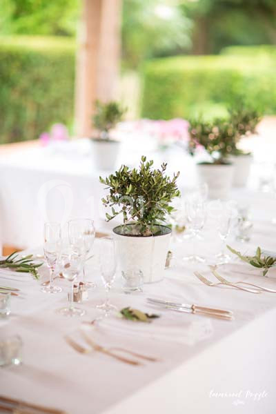 Traiteur Puget-sur-Argens (Var) - Les Filles du Sud Traiteur #14