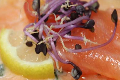 Traiteur Nanterre (Hauts-de-Seine) - Le Concurrent Gourmand #23